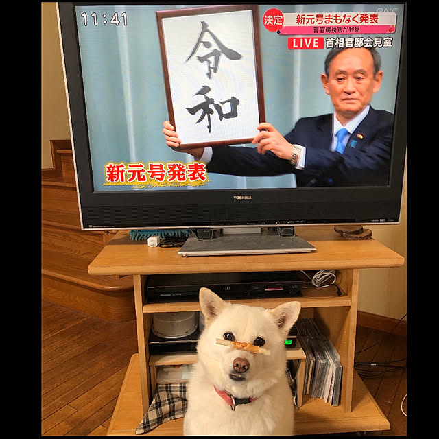 jewel-ynmさんの実例写真