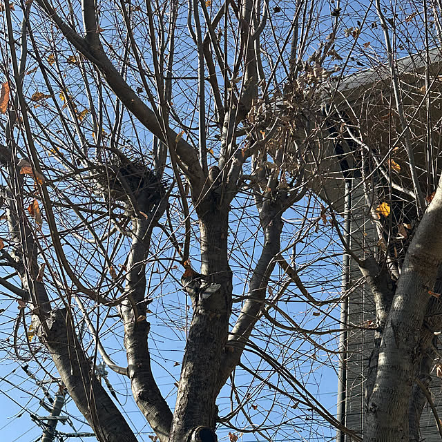 Taeさんの実例写真