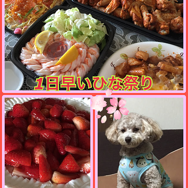 実例写真