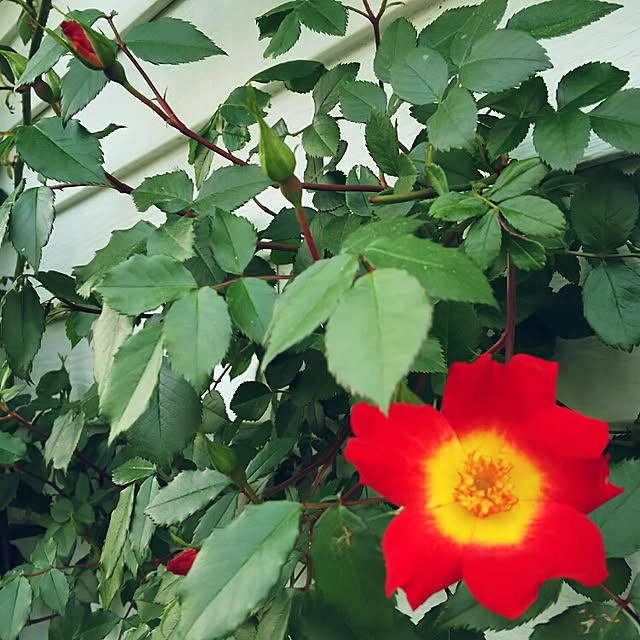 Takeshiさんの実例写真