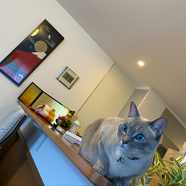 zumayanさんの実例写真