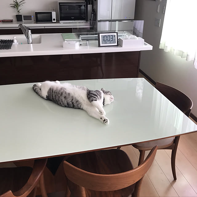 Dahliaさんの実例写真