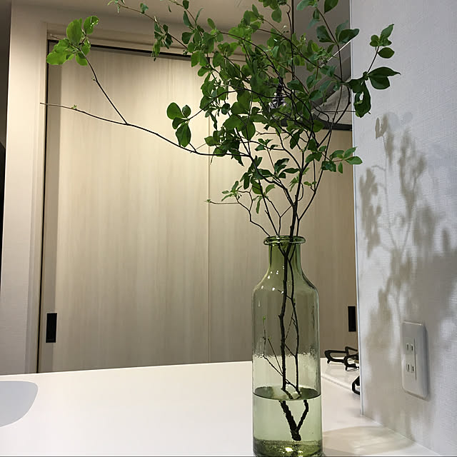 k_dinoさんの部屋