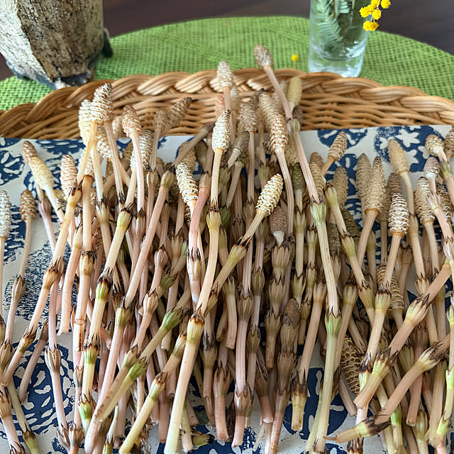 ritsukoさんの部屋