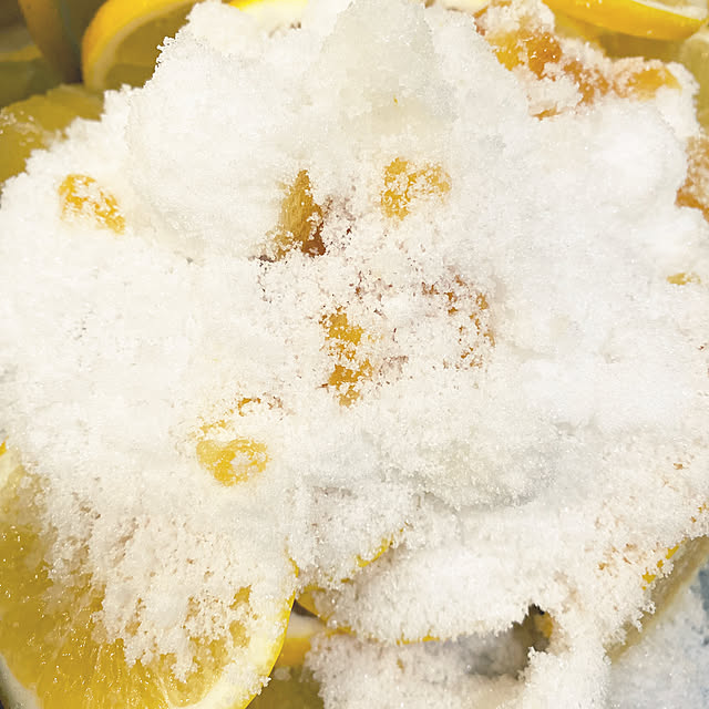 TON23さんの部屋