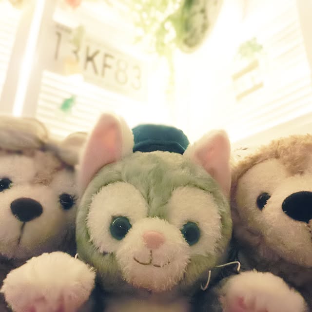 ayaさんの実例写真