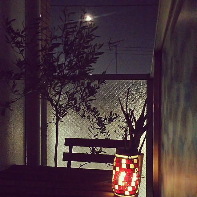 nature-faloさんの実例写真