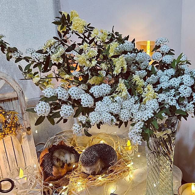 mocomocoさんの部屋