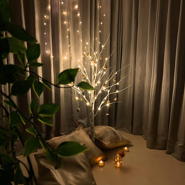 santaさんの実例写真