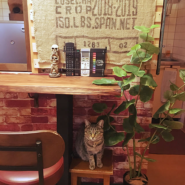 Mさんの実例写真