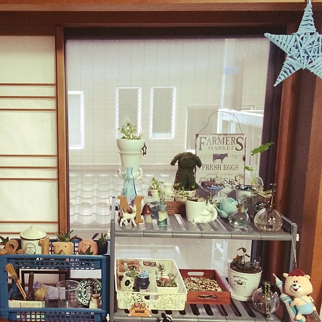 実例写真
