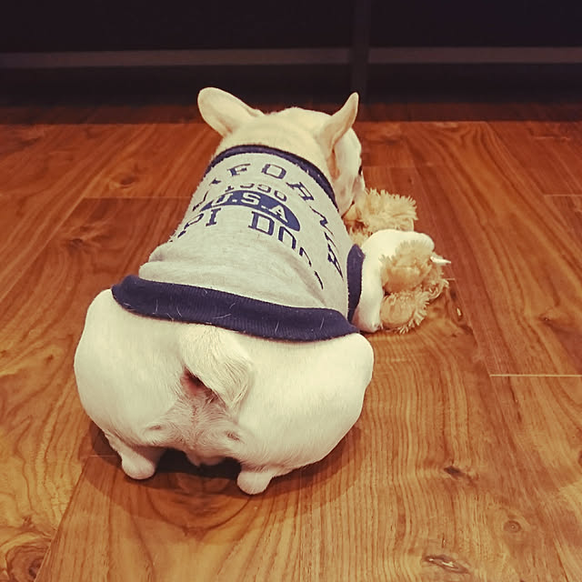 akazukin.chachaさんの実例写真