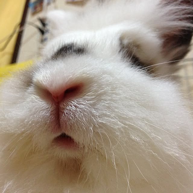 mokaraiさんの実例写真