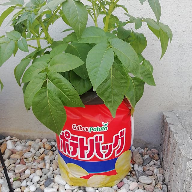 G.Mさんの部屋