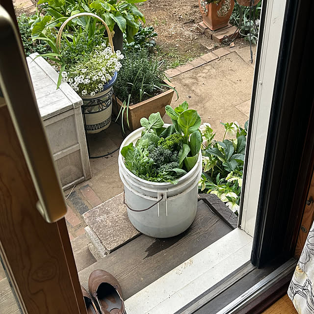 botanさんの実例写真
