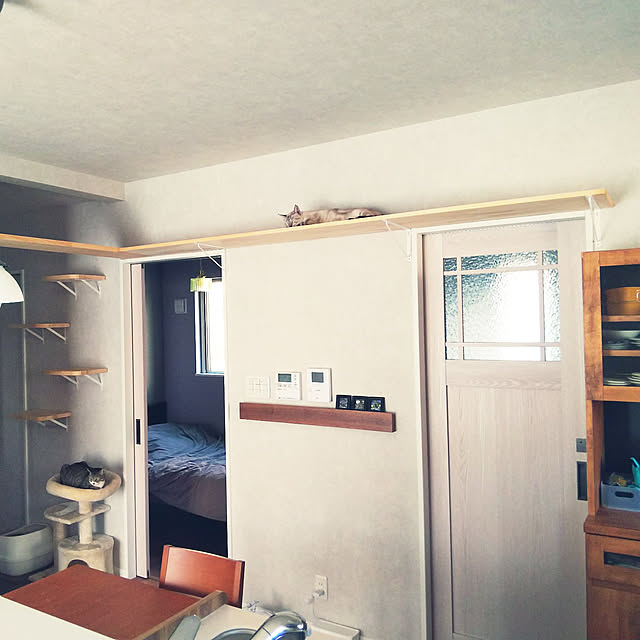 部屋全体/平屋暮らし/猫と暮らす/猫のいる暮らし/キャットウォークのある家...などのインテリア実例 - 2022-07-09 19:53:53