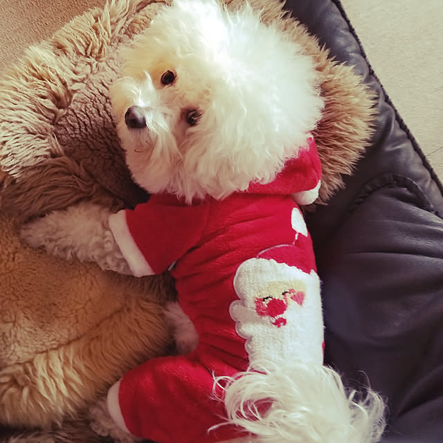 takoさんの実例写真