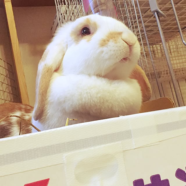 kuruさんの実例写真