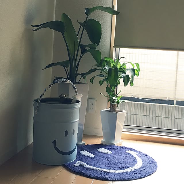 Mizueさんの実例写真
