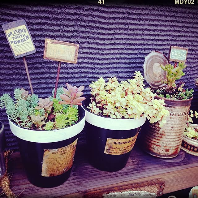 Rans_andy.さんの実例写真