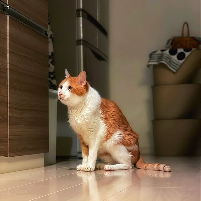miruさんの実例写真