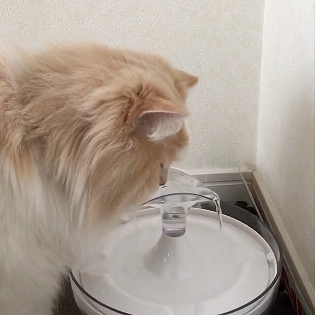 reomewさんの実例写真