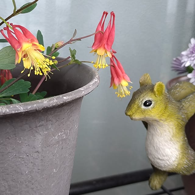 NOAHさんの部屋