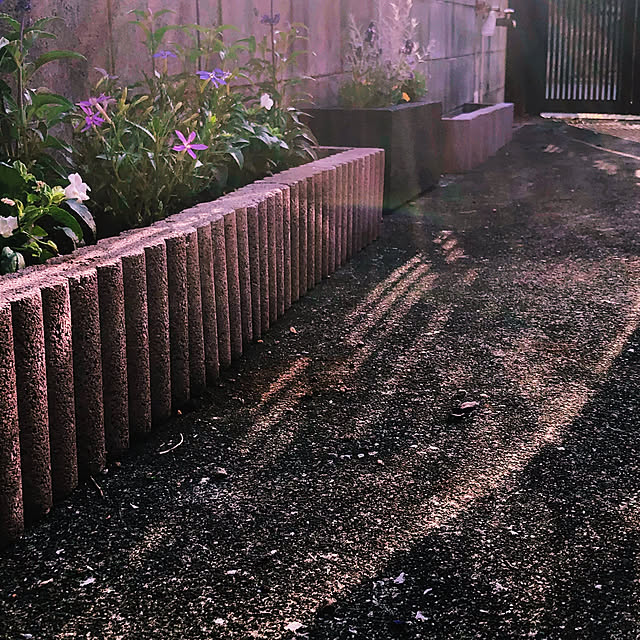 chacoさんの実例写真