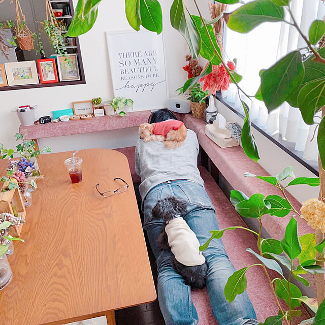 実例写真