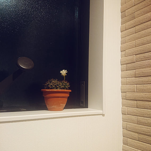 kahori.1113さんの実例写真