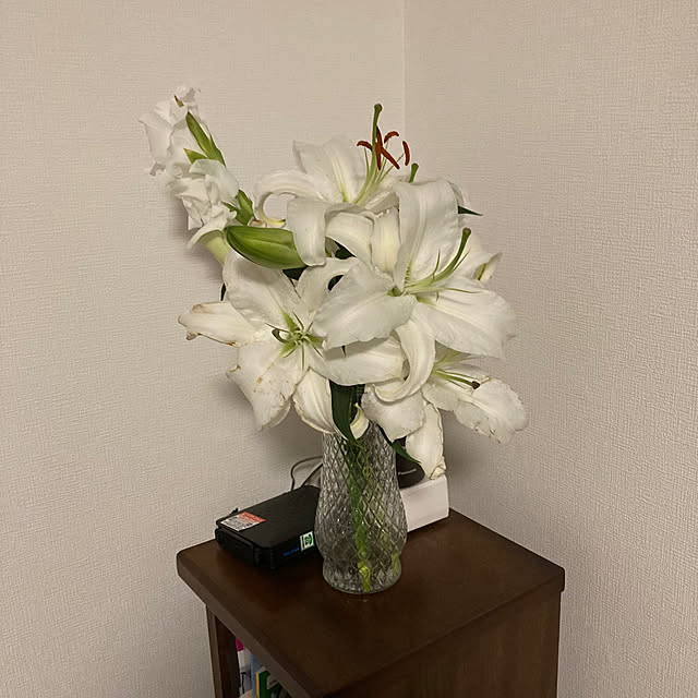 mamaさんの部屋