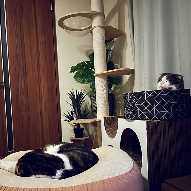 tansukeさんの部屋
