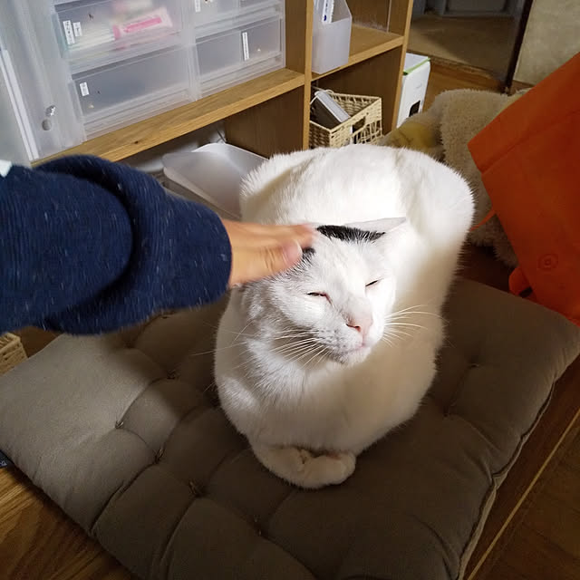 yukieさんの実例写真