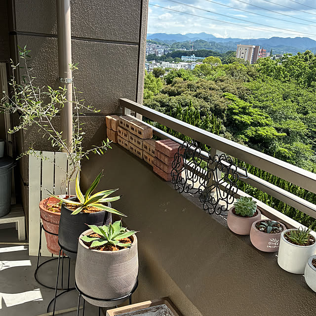 koshiregutyoさんの部屋