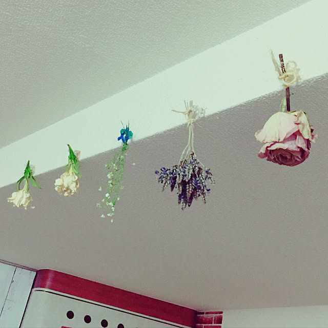 soraさんの実例写真