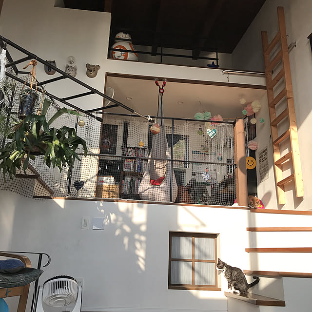 COLeCoさんの実例写真