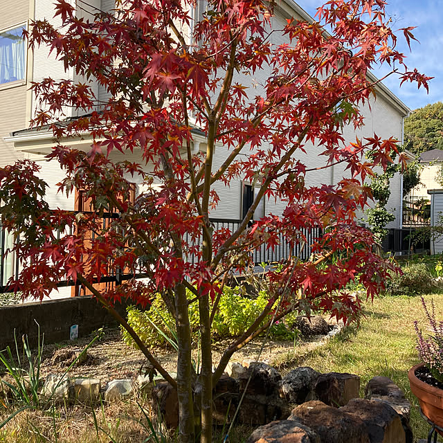 kirakirahoshiさんの部屋