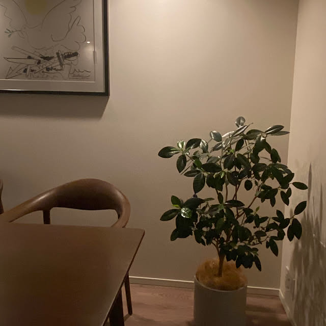 Ronnieさんの部屋