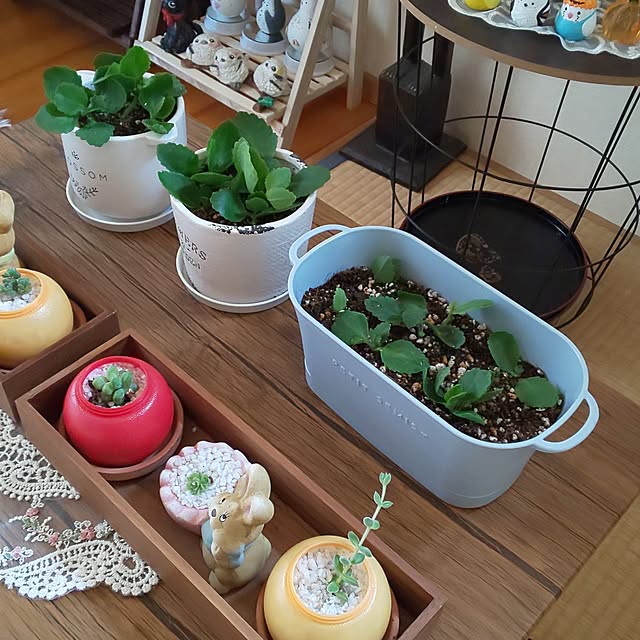 yumiyumiさんの部屋