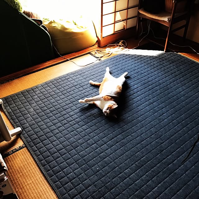 部屋全体のインテリア実例 - 2017-05-16 17:32:14