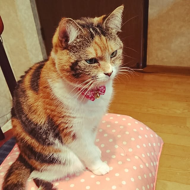 yukieさんの実例写真