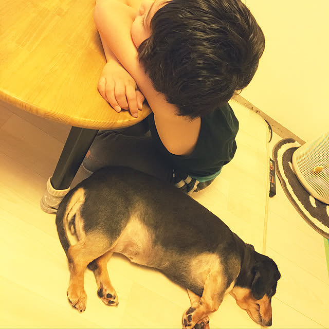 ohanaさんの実例写真