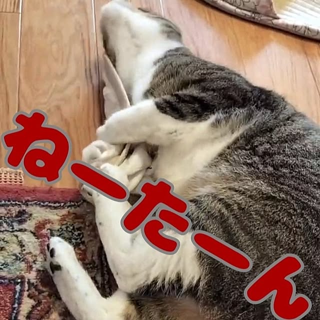 asaさんの部屋