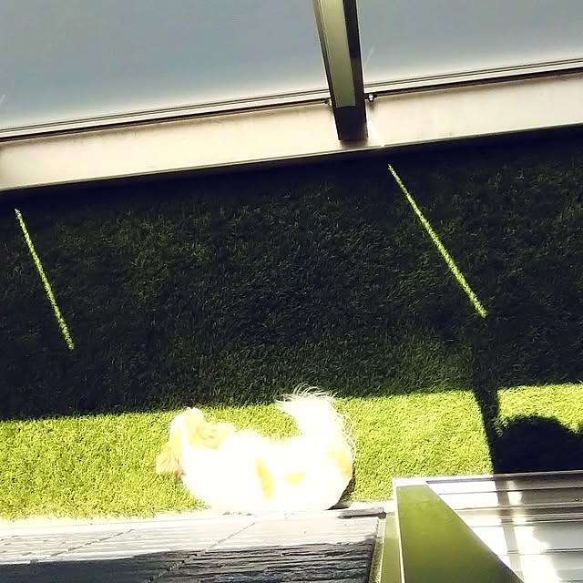 toratanさんの実例写真