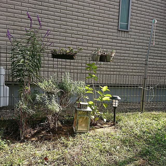 urchinさんの実例写真