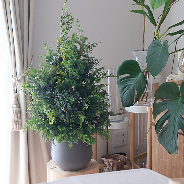 Summerさんの部屋