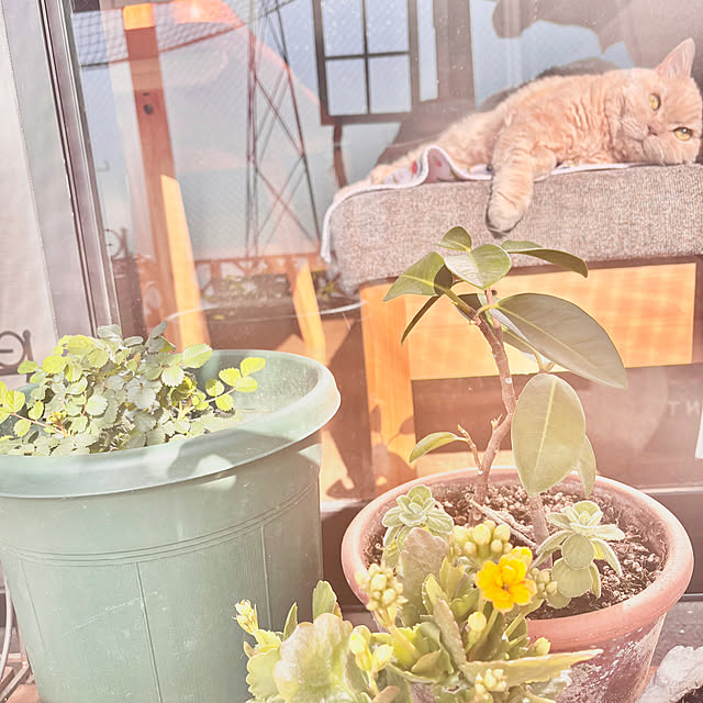 naokoさんの部屋