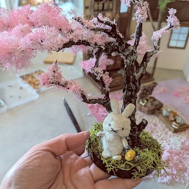 noahさんの部屋