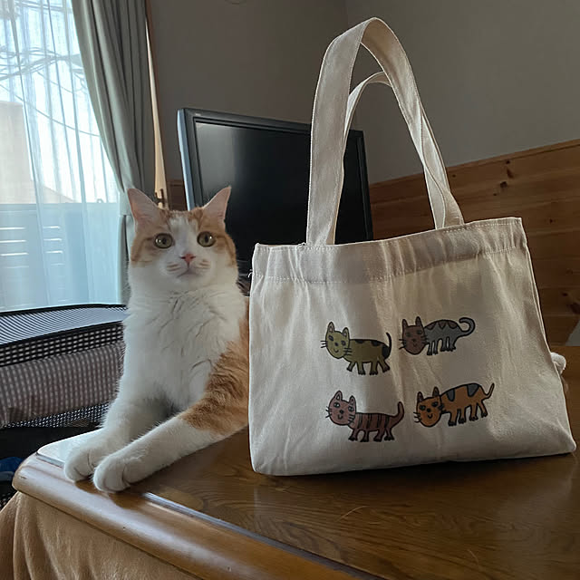 senbei.sakuramochiさんの実例写真