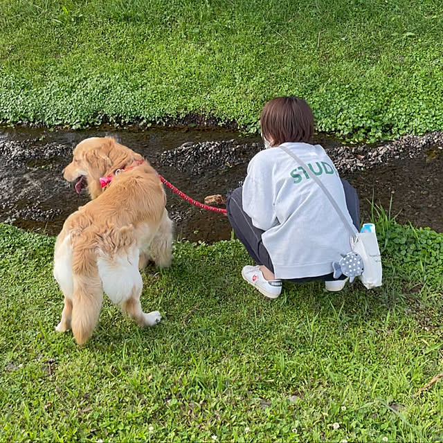 marinkoさんの実例写真
